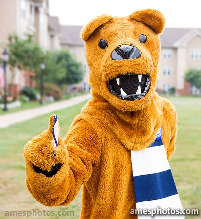 The Nittany Lion's Spirit: Igniting Penn State's Sports Culture